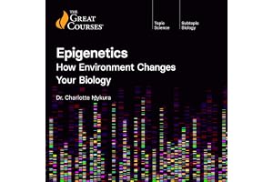Epigenetics: How Environment Changes Your Biology