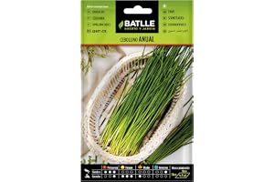 Batlle örtfrön - Gräslök (frön - 25-30 cm)