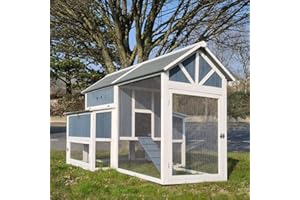 Animal Valley Gallinero Deluxe Azul Techo Shingle Gris Corral para Gallinas 10-12