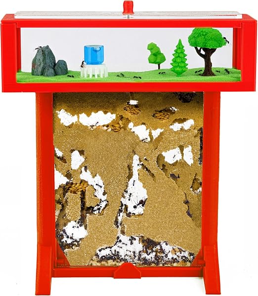 Anthouse.es - Kit Hormiguero Acrílico de Arena en Forma de T 3D - Sándwich y Caja de Forrajeo - Hormiguero con Hormigas Vivas Incluidas (Reina, Obreras, Huevos y Larvas) - Color Rojo - 1
