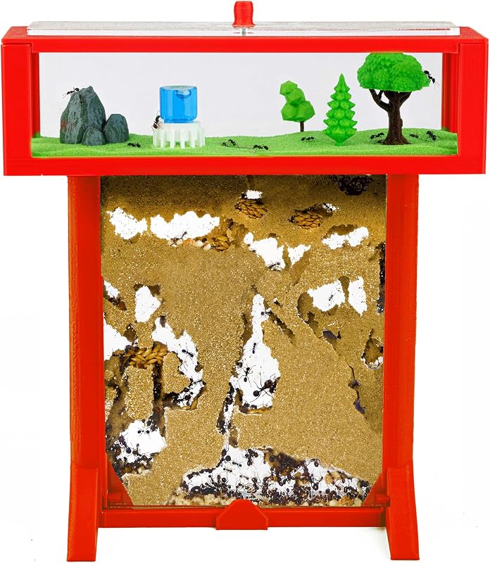 Anthouse.es - Kit Hormiguero Acrílico de Arena en Forma de T 3D - Sándwich y Caja de Forrajeo - Hormiguero con Hormigas Vivas Incluidas (Reina, Obreras, Huevos y Larvas) - Color Rojo