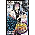 Demon slayer. Kimetsu no yaiba (Vol. 16)