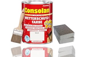 ERHARD-TRADING Consolan Kit de peinture de protection contre les intempéries - 2,5 l - Pour bois - Protection longue durée - Couvrant avec accessoires (blanc)