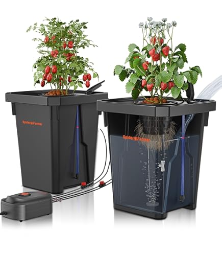 Cubi Di Lana Di Roccia Per Idroponica - Grow Medium Per Talee E Coltivazione Senza Suolo (4x4x4cm)