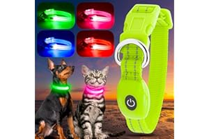 YFbrite LED Cat Collar – USB Rechargeable Waterproof Light Up Dog Collar, Fits Any Size Cat, Dog or Puppy, Glowing In The Dark Lights Collars for Pets Safety (Green)