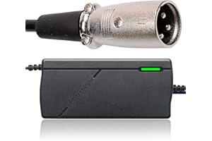 joyvio 24V 8A Ladegerät mit 3-Pin XLR Anschluss für Sealed AGM,Gel,24BC8000T-1,Jazzy 1450,Invacare Pronto M51,tdx 3,Sunrise Medical,Quickie,Drive Medical,for Dalton Medical Netzteil