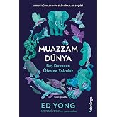The Magnificent World: Journey Beyond the Five Senses