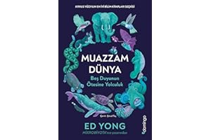 Muazzam Dünya: Beş Duyunun Ötesine Yolculuk