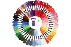 SOLEDI Kit de Broderie, pour Fils Bracelet Brésilien et Point de Croix, Cousez des Vêtements et Faites de Beaux Cadeaux, 50 Couleurs Riches pour Répondre à Divers Besoins