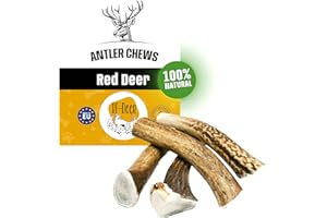RF - Deer Set of Natural Antler Chews for Dogs | Bone Toy & Treat | Deer | Natural, Safe and Healthy Snack for your Dog | Hard | 5 pcs | XS | 100-150 g | 6-9 cm