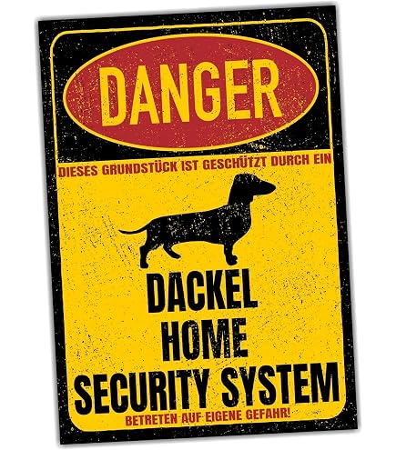 Produktbild von Cocker Spaniel Warnschild – Freilaufender Hund, Türschild Hundeschild, Wetterfest & UV-beständig, Für Privatgrundstück, Geschenkidee