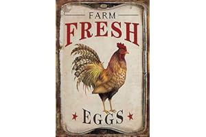 Schatzmix Plaque en métal Nostalgie Poules Farm Fresh Eggs 20 x 30 cm Plaque décorative en tôle Multicolore