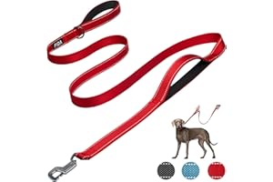 Fida Heavy Duty Dog Leads for Medium/Large Dogs, 1.8M / 6FT Traffic Handle & Advanced Hook for More Control, Reflective Dog Lead for Daily Walking & Training (Red)