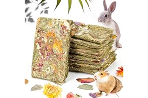 Abizoo Hasen Kauspielzeug,10 Stück natürliche Kaninchen leckerlies mit kräuter, Timothy heu Spielzeug kräcker, Meerschweinchen Futter für zwergkaninchen,Chinchilla, Hamster, Kaninchen Snacks