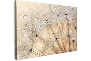 MuchoWow© Bild auf Leinwand 90x60 cm Schlafzimmer Bilder Badezimmer Wand Deko Wohnzimmer Modern Wanddeko Bilderwand Geschenk Pusteblume - Abstrakt - Natur - Beige