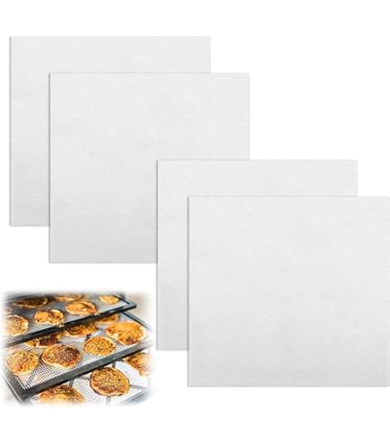 Fogli In Silicone Per Essiccatore - 10 Pezzi 28.5x20cm, Antiaderenti E Riutilizzabili