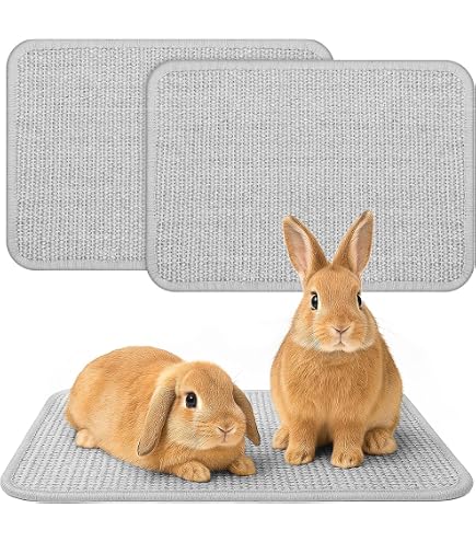2 Stück Sisal-Kratzmatten 59,9x40,1 Cm – Rutschfeste Unterseite, Für Kaninchen, Nager, Als Käfigeinlage