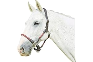 Kincade Leather Rope Headcollar, Burgundy/Brown, Cob