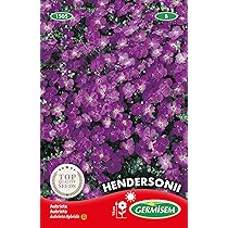 Eetbare Bloemen - Zaden 10 gram - Bijenstichting