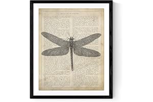 Nacnic Vintage Libelle Poster mit Enzyklopädie Hintergrund. Wanddekoration im Sepiatöne und Retro-Stil. A4 ohne Rahmen.