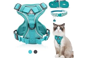 FINEASY Uprząż dla Kota ze Smyczą, Odporna na Pękanie i Obroża dla Kota, Regulowana Smycz z Uprzężą, Zestaw Uprząż dla Kotów, Miękka Uprząż dla Kotów, Psów (Zielona, M)