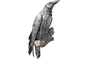 Design Toscano Der Halloween-Rabe Gothic-Dekor Wandskulptur, Polyresin, vollfarbe, 46 cm