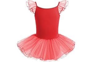 HIPPOSEUS Niña Tutu Vestidos de Ballet Maillot de Danza Gimnasia Leotardo Body Clásico para Niñas Body Traje de Baile,Y-04WDM