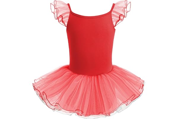 HIPPOSEUS Fille Robe de Ballet Danse Tutu Justaucorps de Ballet Danse Gymnastique Enfants Manches Courtes, Y-04WDM