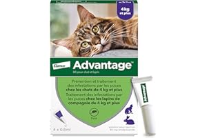 Advantage Chat & Lapin de plus de 4 kg – Pipettes anti puces chat pour prévention des infestations – Traitement anti puces avec protection de 3 à 4 semaines – 4 x 0,8 ml
