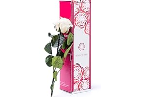 ROSEN-TE-AMO Rose-te-amo regalo para la esposa Rose eterna- REAL FLOWER 3 AÑOS SIN AGUA- Regalo perfecto para el día de San Valentín - para novia navidad y dia de la madre