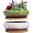 ARTKETTY Succulent Plant Pots, 2 PCS Large Bonsai Pot with Trays, Shallow Plant Pot Ceramic Pots for Indoor Cactus Flower Plants Decorative Garden Home Office
