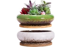 ARTKETTY Macetas, macetas Grandes para Plantas suculentas con Drenaje Pack de 2, macetas Poco Profundas para bonsáis con bandejas Macetas de cerámica para Plantas de Interior Cactus