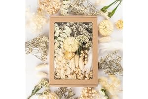‎LAUMOE LAUMOE Getrocknete Blumen, Trockenblumen, Trockenblumen Zum Basteln Mini Trockenblume Bunt Set für Tischdeko DIY Epoxidharz Scrapbook Zubehör (H1)