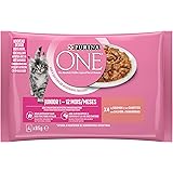 Purina One Junior De 1 A 12 Mois Au Poulet Et Aux Cereales Completes 1 5 Kg Croquettes Pour Chaton Pack De 6 Amazon Fr Animalerie