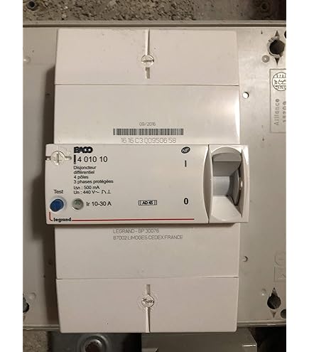 LEGRAND - Disjoncteur de branchement Enedis - Bipolaire différentiel