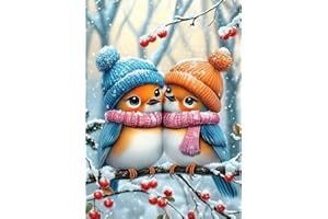 AIRDEA Christmas Natale Diamond Painting, Uccelli Diamond Painting Kit Completo, Diamantini Crystal Art Hobby Creativi Adulti Decorazione per Casa 30x40 cm