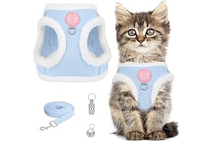 JOKUREAO Katzengeschirr Ausbruchsicher Set Mit Reflektierender Leine für Katzen, Kätzchen und Welpen (Blau, XXS)