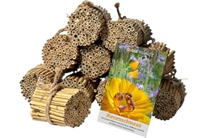 ‎LUXUS-INSEKTENHOTELS dobar® 22690e Schilfrohrhalme-Set 1.000 STK - Insektenhotel Bastelset - Schilfrohhalme für Wildbienenhotels - Wildbienennisthilfe aus Schilfhalmen inkl. Wildblumensamen - 9cm