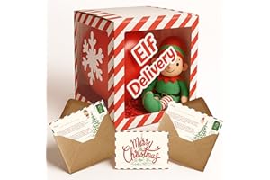 WILOSC Christmas Elf Arrival Box Kit - Containing 1x Transparent Elf Box | 6 x Balloons | 5 x Adhesive Icons | 1x Elf Arrival Letter | 1x Goodbye Elf Letter | Personalisable |