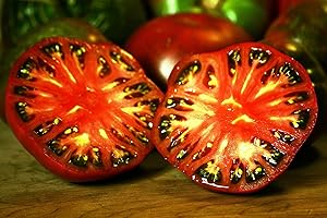 GROWYOURSECRETGARDEN RWS 100 semillas de tomate púrpura Cherokee, muy antigua variedad de la India Cherokee, Nueva entrega de América, germen de la prueba del