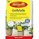 Aeroxon - Gelbfalle - Gelbtafeln - 10 Stück - für Topf, Garten und Balkon - fängt die geflügelten Blattlaus, Thripse, Trauerm
