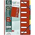 Exacompta - Ref. 55075E - 1 Clasificador HARMONIKA - Con Elásticos Y