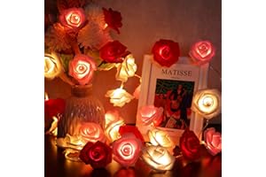 Hiboom Guirlande Lumineuses de Fleurs, 6,6 ft 20 LED Guirlandes de Lumières de Fée de Roses Artificielles à Piles pour Fête Mariage (Fleur Rouge, Rose, Clanche avec Lumière Blanche Chaude)