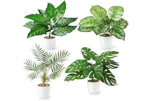 PASCH® Zestaw 4 sztucznych roślin tropikalnych, takich jak prawdziwe (35 cm) w białych doniczkach ceramicznych: m. in. sztuczna monstera i sztuczna palma Areca | sztuczne rośliny w doniczce | sztuczne