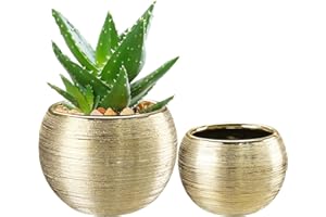 Oairse Lot de 2 Pots de Fleurs décorés, Pots de Fleurs d'intérieur pour Plantes de Serpent succulentes et orchidées, pour décoration de Rebord de fenêtre, Pot de Fleur Interieur diamètre 11cm/14cm