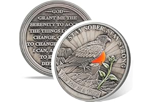 ‎ATSKNSK Hope of Eagle Nüchternheitsmünze, Affirmations Sober Chip und AA Medaille Geschenk für Alkoholiker Anonymous und Suchtgenesungsmedaille für Männer und Frauen