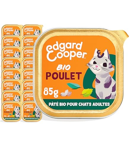 Een gezonde kat hoe doe je dat - Voer voor Katten