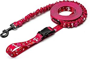 Helltails Smycz dla Psa z Amortyzatorem i Pasem Biodrowym | Regulowana 2.4-4M | NO ABSORB - powłoka odpychająca brud i wode | Redukująca Efekty Szarpnięć | Champagne Kiss