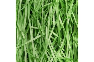 JEEMOOTOWN 500g Carta Tagliuzzata per Regali - Verde - Paglia per Cesti - Ideale Paglia Confezioni per Scatole Regalo