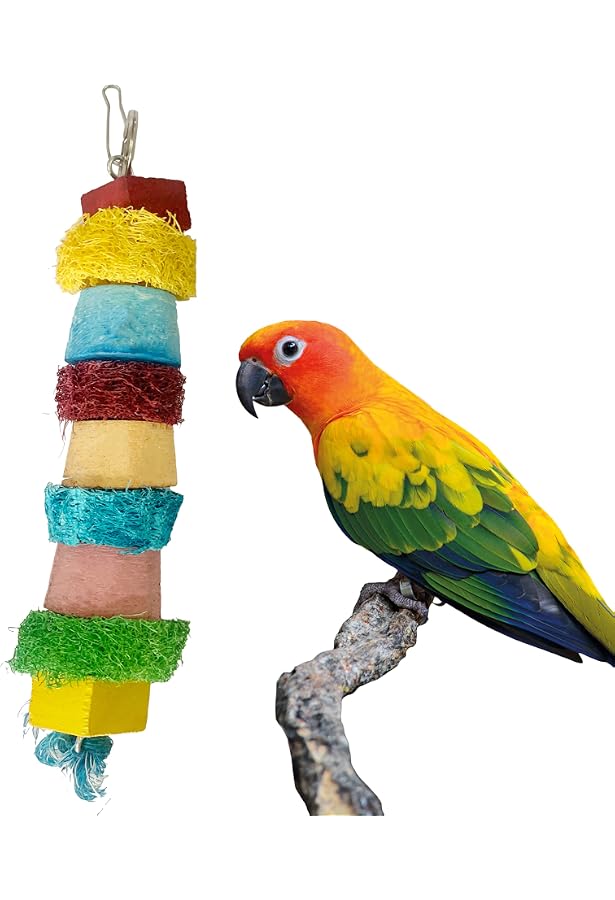 Jainsons Pet Products® Bird Toy Parrot Chewing Toys-Hanging Bell Bird